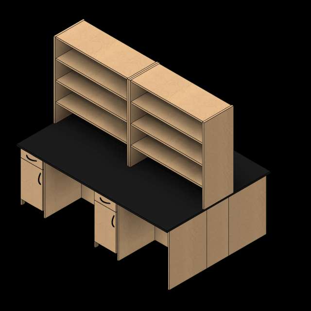 08' Wide - Option 02 Lab Revit model group