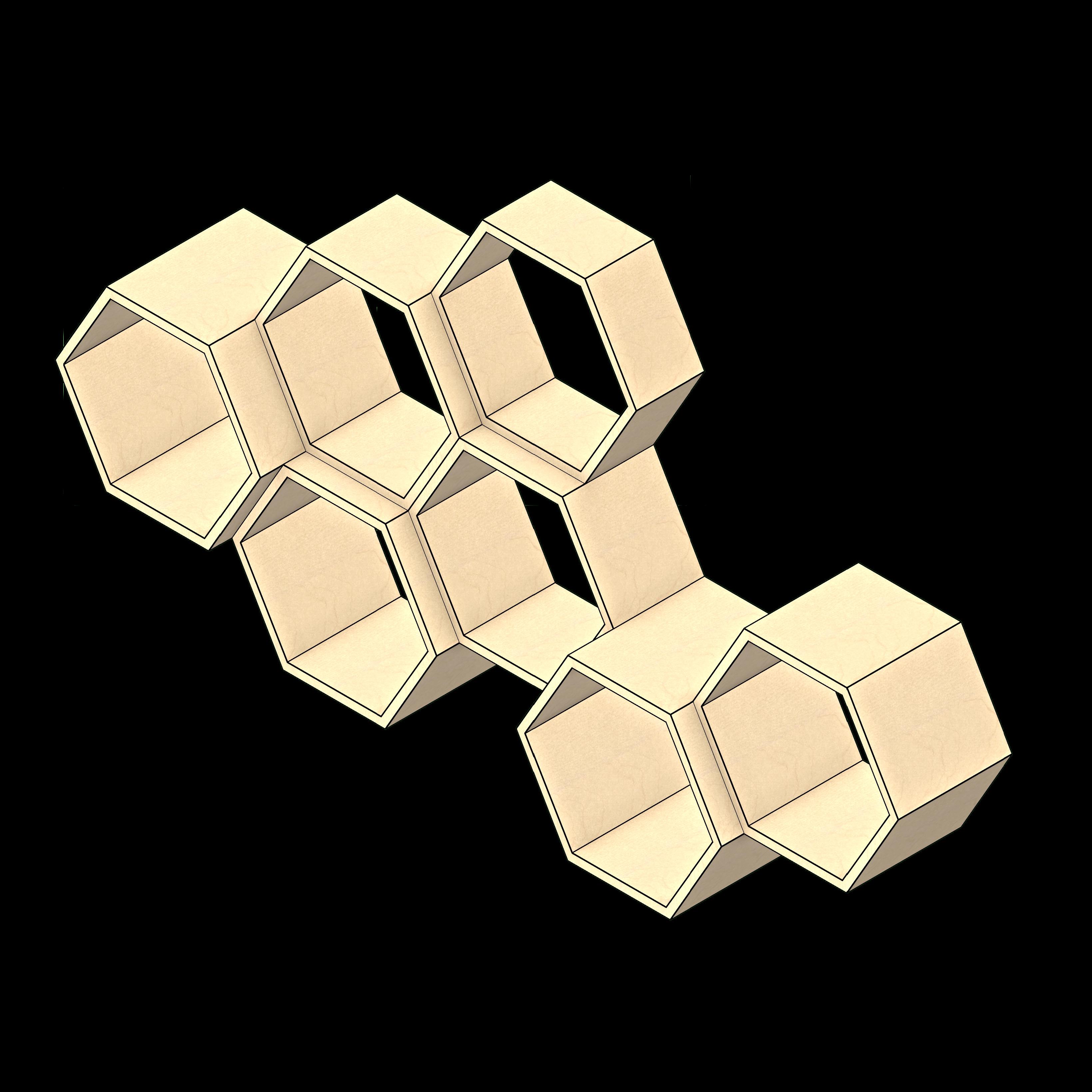  SSG Shelving Hexagon Wall Mounted LAM 18W Multi System