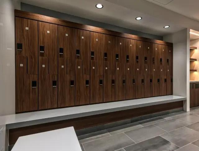 Laminate day lockers