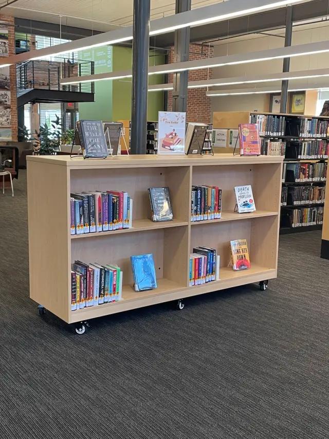4-Post Mobile Shelving